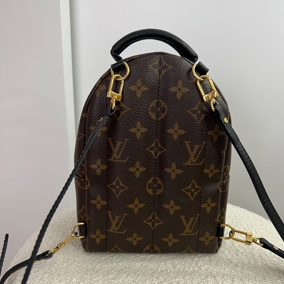 Louis Vuitton Palm Springs Mini - Picture 2 of 5